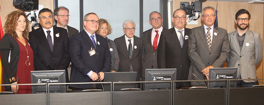 María Fernández, presidenta de Somamfyc, José Luis Llisterri, presidente de Semergen; Miguel Ángel García, responsable de estudios de CESM, Josep Basora, presidente de Semfyc; Concepción Sánchez Pina, presidenta de Aepap, Jesús María Fernández, portavoz de Sanidad del PSOE en el Congreso; Juan José Rodríguez Sendín, presidente de la OMC; Antonio Fernández Pro, presidente de SEMG; Tomás Toranzo, vicesecretario general de CESM y Víctor Expósito, presidente de CEEM.