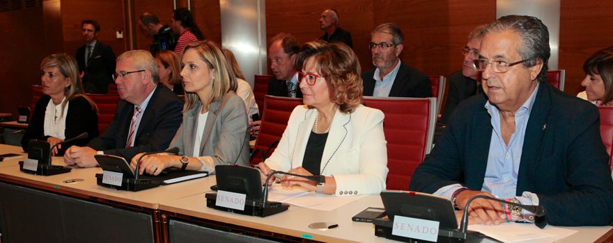 Los diputados del PP siguen la sesión de constitución de la Comisión de Sanidad del Senado. 