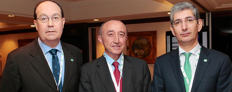 Jesús Licinio Manzanares, presidente de la Seeic; Fernando Lamata, miembro del panel de expertos de la UE sobre formas efectivas de invertir en salud, y Antonio Abella, copresidente de Gesmédica.