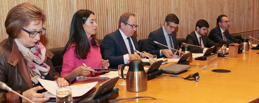 La mesa de la Comisión de Sanidad durante la comparecencia de Javier Castrodeza.