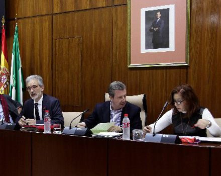 Miguel Angel García Anguita, en el centro, presidiendo la comisión de Salud, junto a Aquilino Alonso. 