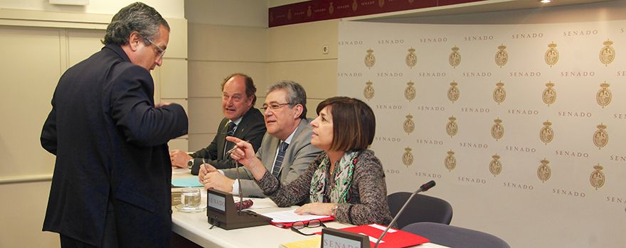Antonio Alarcó, portavoz de Sanidad del PP en el Senado, se dirige a la mesa de la Comisión del Senado. 