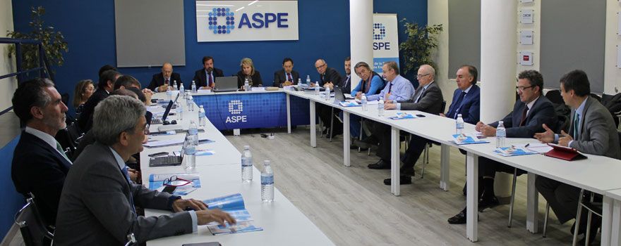 Un momento de la Asamblea General celebrada por ASPE.