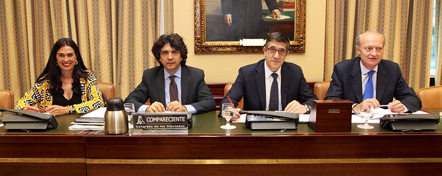 De izquierda a derecha, María del Carmen Hernández, vicepresidenta primera de la Comisión; Mario Garcés, secretario de Estado de Servicios Sociales e Igualdad; Patxi López, presidente de la Comision y Luis de la Peña Rodríguez, letrado de la Comisión. 