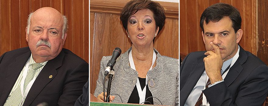 Jesús Aguirre, senador del Partido Popular; Elena Andradas, directora de Salud Pública, y David Cantarero, economista de la salud. 