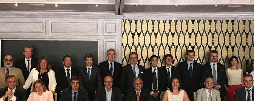 Foto de familia de la última reunión del Consejo Consultivo del IDIS. 
