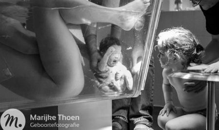 La imagen publicada por Marijke Thoen.
