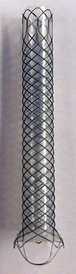 Imagen del stent utilizado.