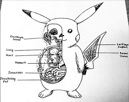 Uno de los dibujos elaborados durante el curso.