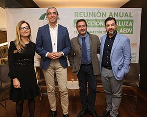 Mercedes Morillo, David Moreno, Ricardo Ruiz y Manuel Galán.