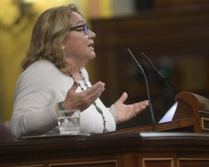 Pita durante una intervención en el Congreso