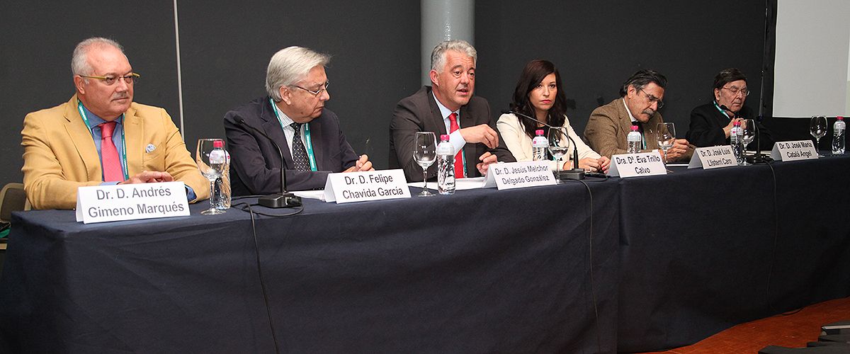 En la Mesa de Medicina Rural han participado Andrés Gimeno Marqués, expresidente de Semergen; Felipe Chavida García, expresidente de Semergen; Jesús Melchor Delgado, consultorio de Turón-Figaredo; Eva Trillo Cavo, vocal de la Junta Directiva Nacional de Semergen;José Luis Llisterri Caro,  presidente de Semergen; y José María Catalá Ángel, expresidente de Semergen.