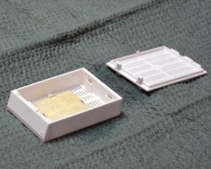 Imagen del bioimplante