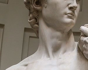 Detalle del cuello del 'David' con la vena distendida.