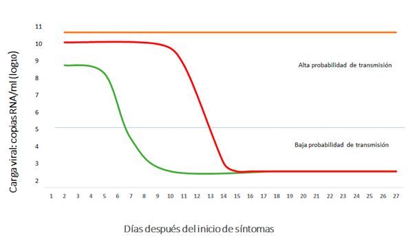 Dinámica de la carga viral de RNA de SARS-CoV-2, en casos leves-asintomáticos (línea verde), graves (línea roja) y críticos (línea naranja). (Fuente: Ministerio de Sanidad/Seimc)