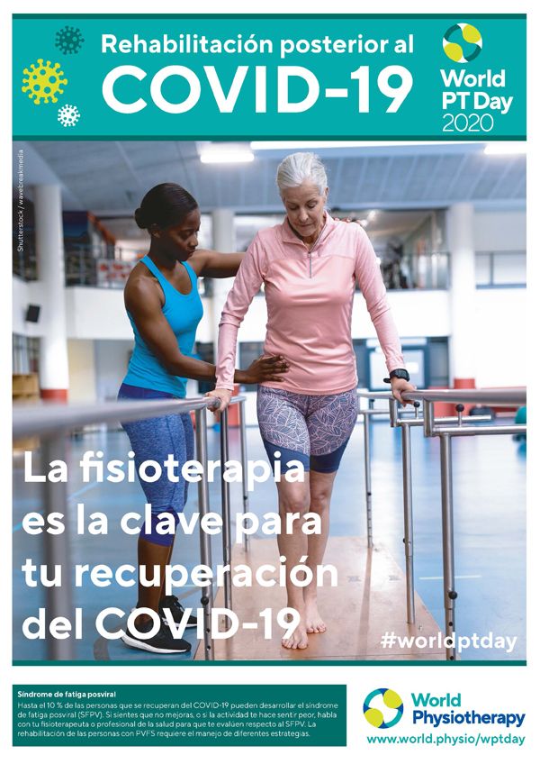 Cartel sobre el Día Mundial de la Fisioterapia elaborado por la World Physiotherapy.
