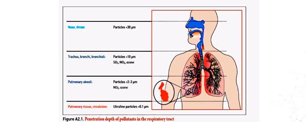 Gráfico sobre cómo afectan los contaminantes a la salud.