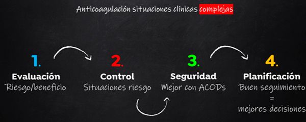 Las cuatro conclusiones de la ponencia.