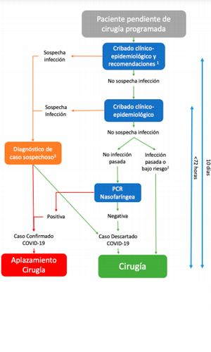 Algoritmo completo de proceso de despistaje previo a cirugía programada para Covid-19 en periodo de pandemia. Ministerio de Sanidad. 