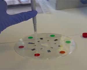Un instante durante el analisis de la muestra. 