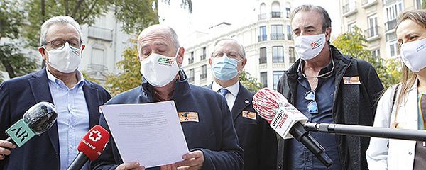 Lectura del manifiesto de la huelga frente al Congreso de los Diputados.