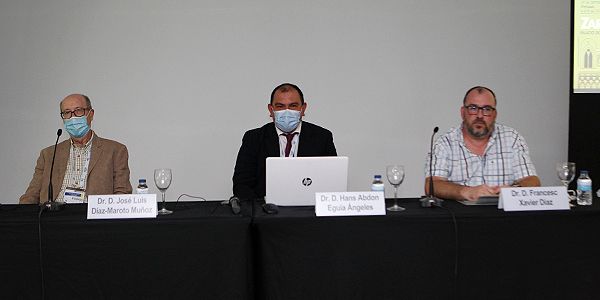 Un instante durante la mesa 'Adicciones en pandemia y tiempos post Covid: Prevención y conductas para una buena salud digital'‘. 