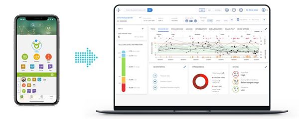 Roche Diabetes Care Platform.