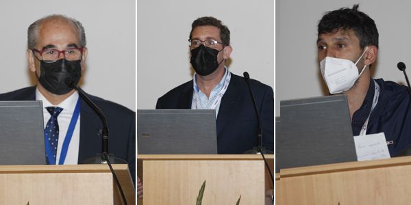 Los responsables de la ingeniería de los hospitales de campaña, durante sus intervenciones.