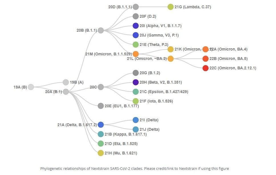 Evolución de las variantes. Fuente: covariants.org