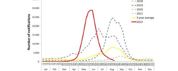 Notificaciones de influenza confirmada por laboratorio en Australia, del 1 de enero de 2017 al 28 de agosto de 2022, por mes y semana del diagnóstico. 