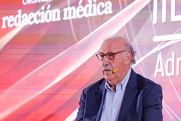 Vicente del Bosque, exseleccionador nacional de fútbol.