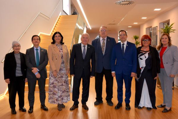 Comisión Ejecutiva del Consejo General de Enfermería (CGE).