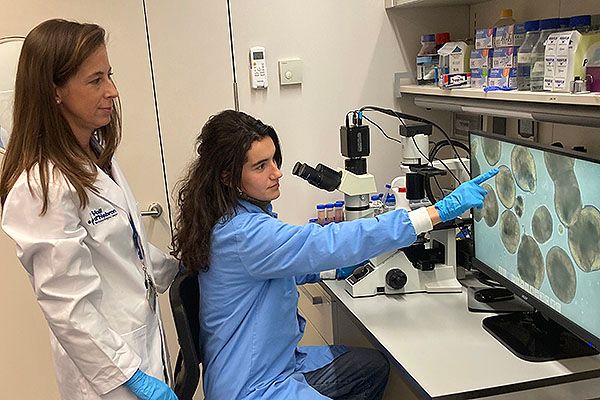 La investigadora Anna Duarri analiza un grupo de organoides en el laboratorio del VHIO.