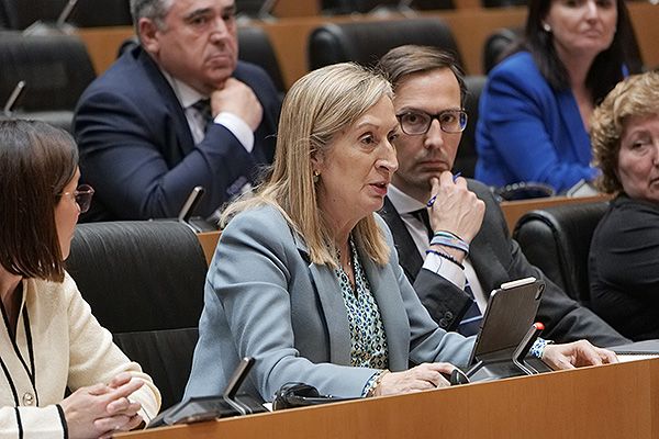 Ana Pastor, diputada del Partido Popular.