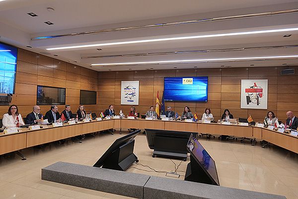 Reunión del Consejo Interterritorial del SNS celebrada en Madrid. 