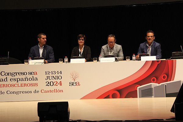 Un momento de la mesa 'Medicina legal y riesgo vascular' en el Congreso de la SEA.
