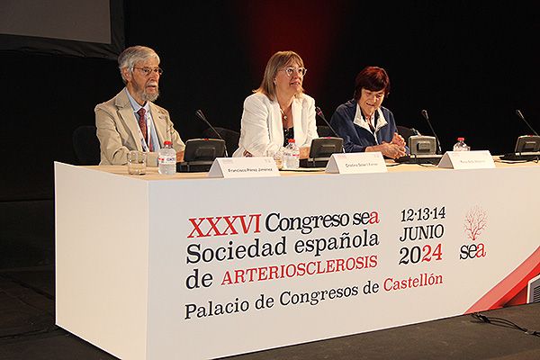 La OMS dicta que un nivel de partículas contaminantes de 5 microgramos es perjudicial para la salud, pero en España se toleran 20 microgramos. Estamos ignorando un problema importante, ha detallado Pérez-Jiménez.