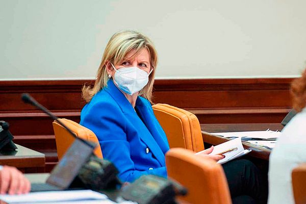 Elvira Velasco, durante una de las sesiones que se celebraron en la Comisión de Sanidad durante el covid.