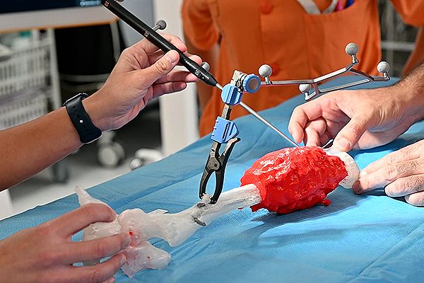 Los profesionales sanitarios practican antes de la intervención.