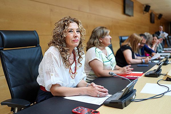 Virginia Jiménez (PSOE) en las Cortes de Castilla y León.